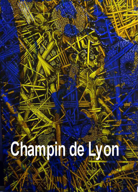 champin de Lyon